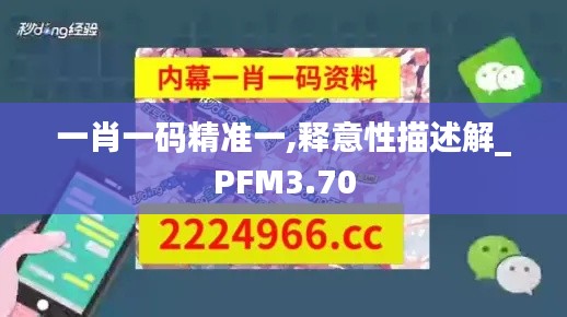 一肖一码精准一,释意性描述解_PFM3.70
