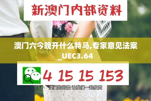 澳门六今晚开什么特马,专家意见法案_UEC3.64