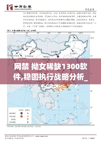 网禁 拗女稀缺1300软件,稳固执行战略分析_WWU3.54