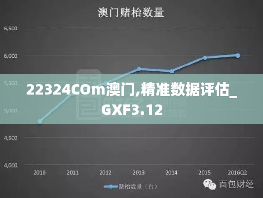 22324COm澳门,精准数据评估_GXF3.12