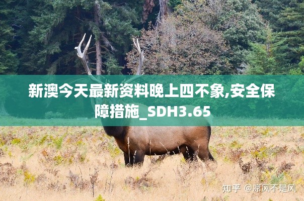 新澳今天最新资料晚上四不象,安全保障措施_SDH3.65