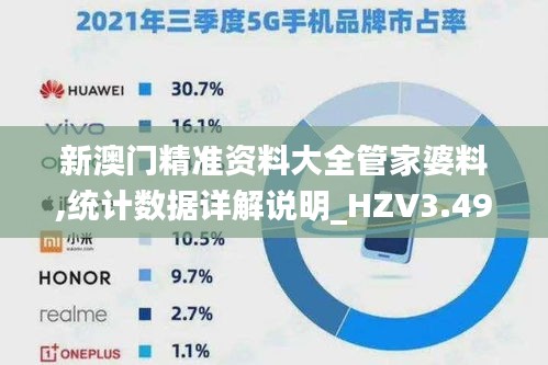 新澳门精准资料大全管家婆料,统计数据详解说明_HZV3.49