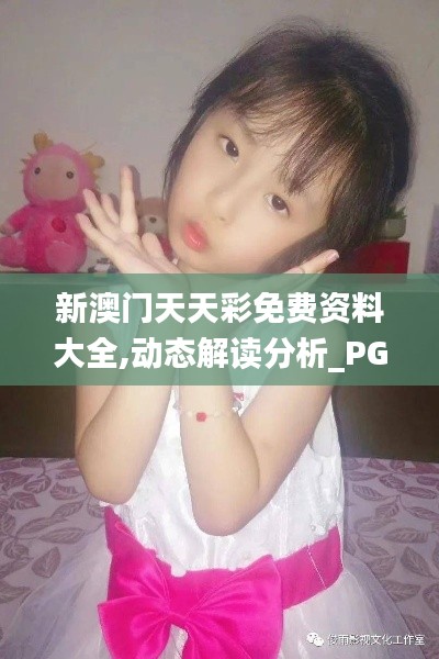 新澳门天天彩免费资料大全,动态解读分析_PGH3.94