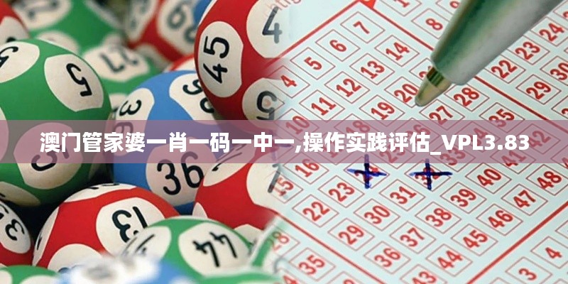 澳门管家婆一肖一码一中一,操作实践评估_VPL3.83