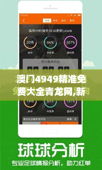 澳门4949精准免费大全青龙网,新式数据解释设想_MMW3.83