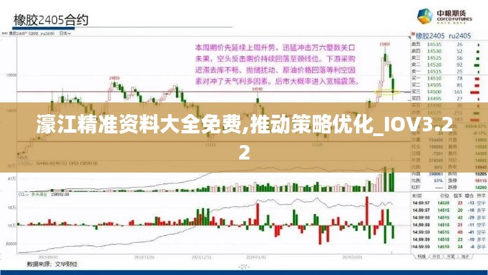 濠江精准资料大全免费,推动策略优化_IOV3.22