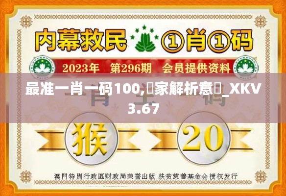 最准一肖一码100,專家解析意見_XKV3.67