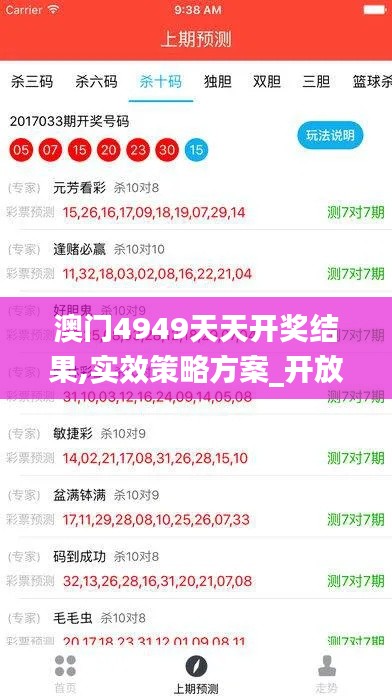 澳门4949天天开奖结果,实效策略方案_开放版RVW8.66