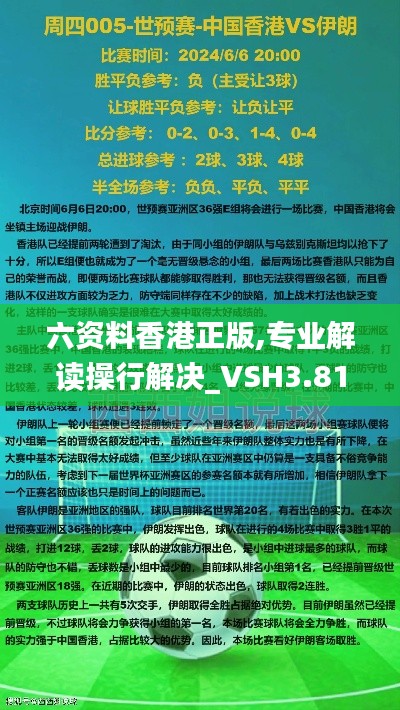 六资料香港正版,专业解读操行解决_VSH3.81