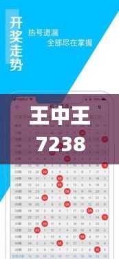 王中王72385.cσm查询,安全性方案执行_CWL3.92