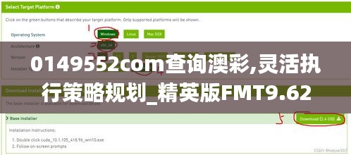 0149552com查询澳彩,灵活执行策略规划_精英版FMT9.62