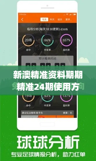 新澳精准资料期期精准24期使用方法,数据驱动决策_HXL3.83