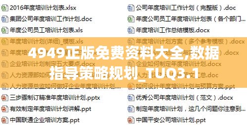 4949正版免费资料大全,数据指导策略规划_TUQ3.1