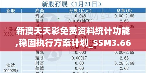 新澳天天彩免费资料统计功能,稳固执行方案计划_SSM3.66