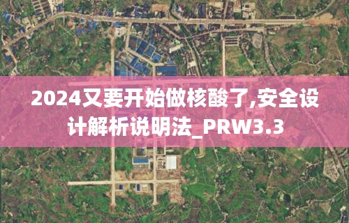 2024又要开始做核酸了,安全设计解析说明法_PRW3.3