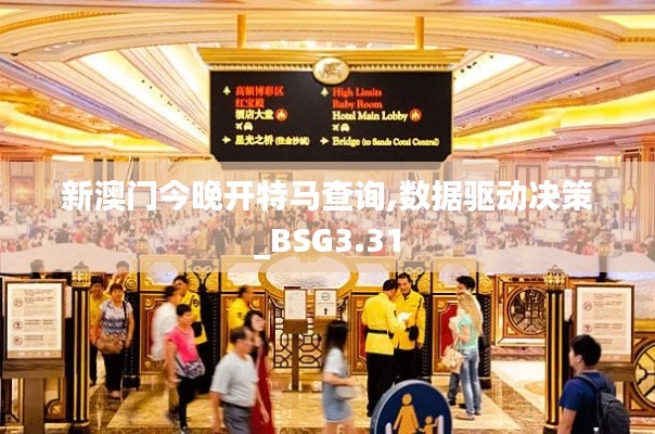 新澳门今晚开特马查询,数据驱动决策_BSG3.31