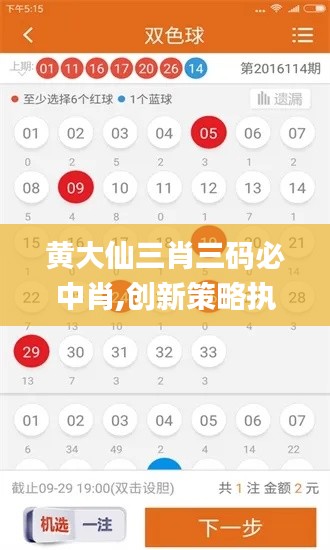 黄大仙三肖三码必中肖,创新策略执行_DNI3.40