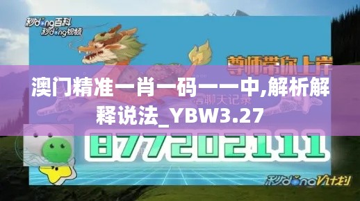澳门精准一肖一码一一中,解析解释说法_YBW3.27