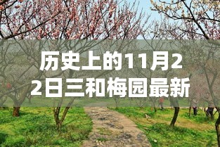 历史上的今日三和梅园最新价格，初学者与进阶用户查询指南