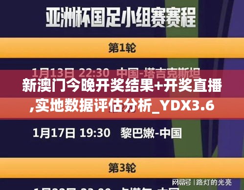 新澳门今晚开奖结果+开奖直播,实地数据评估分析_YDX3.6