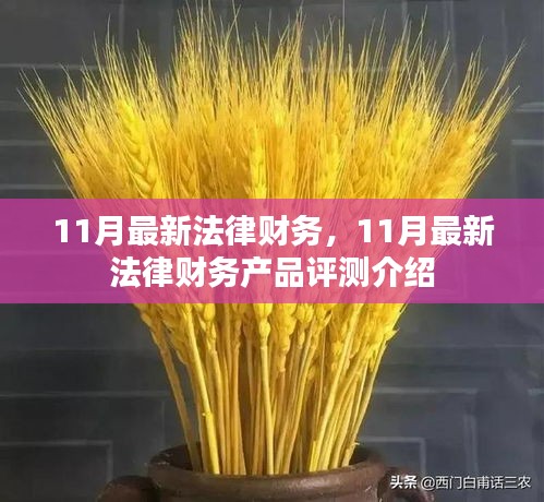 省吃细用 第5页