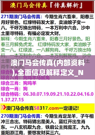 澳门马会传真(内部资料),全面信息解释定义_NVX3.14