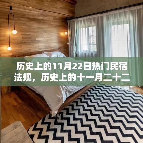 历史上的11月22日民宿法规诞生记，瞩目法规一览
