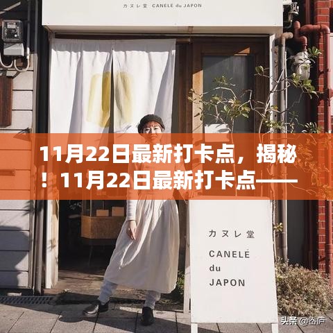 揭秘，巷弄深处的特色小店——11月22日最新打卡点，独特风情不容错过！