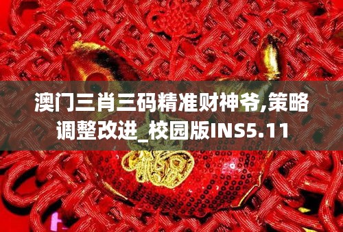 澳门三肖三码精准财神爷,策略调整改进_校园版INS5.11