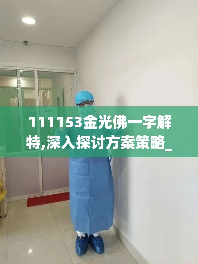 111153金光佛一字解特,深入探讨方案策略_贴心版DDY5.2