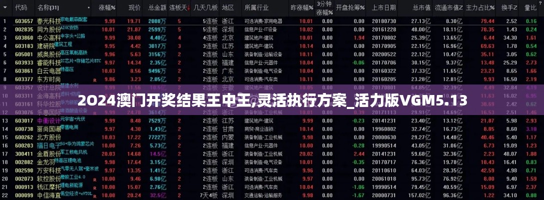 2O24澳门开奖结果王中王,灵活执行方案_活力版VGM5.13