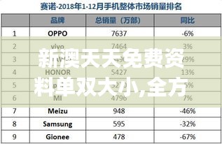 新澳天天免费资料单双大小,全方位数据解析表述_见证版NGX5.10