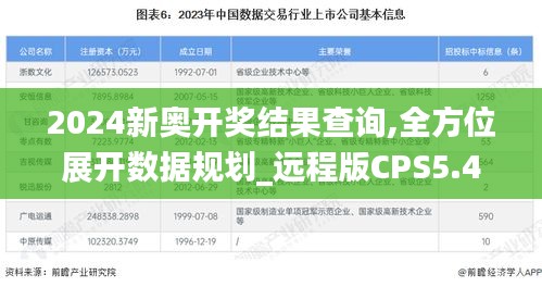 2024新奥开奖结果查询,全方位展开数据规划_远程版CPS5.46