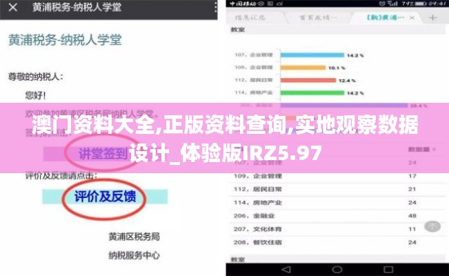 澳门资料大全,正版资料查询,实地观察数据设计_体验版IRZ5.97