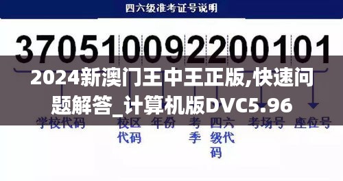 2024新澳门王中王正版,快速问题解答_计算机版DVC5.96