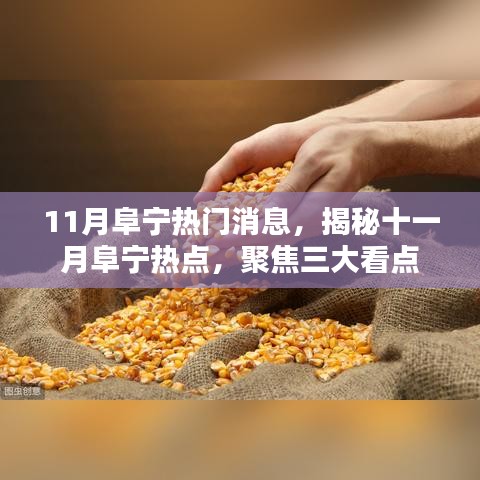 揭秘十一月阜宁三大看点，热门消息一网打尽！
