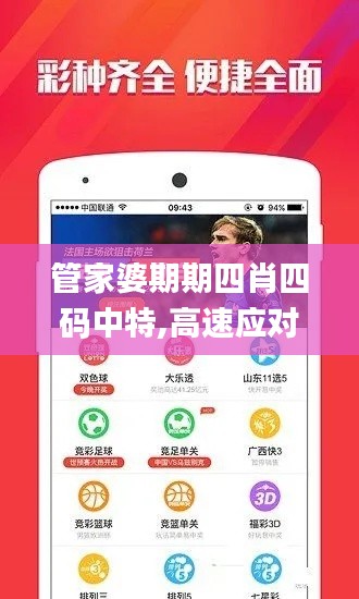 管家婆期期四肖四码中特,高速应对逻辑_深度版WNO5.3