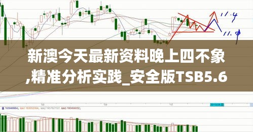 新澳今天最新资料晚上四不象,精准分析实践_安全版TSB5.68