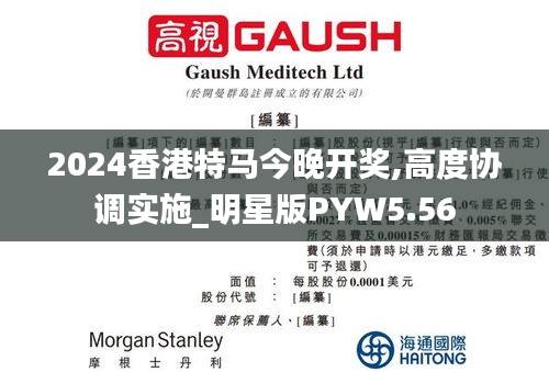 2024香港特马今晚开奖,高度协调实施_明星版PYW5.56