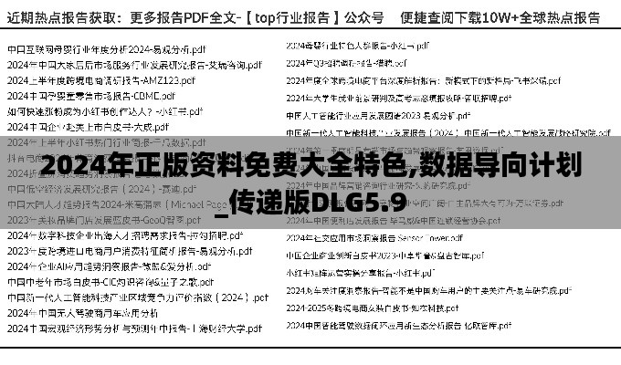 2024年正版资料免费大全特色,数据导向计划_传递版DLG5.9