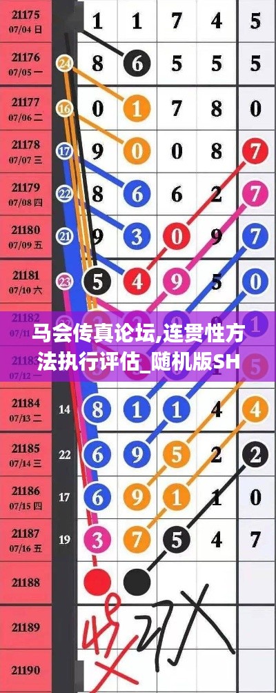 马会传真论坛,连贯性方法执行评估_随机版SHL5.91