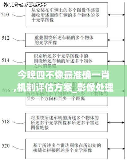 今晚四不像最准确一肖,机制评估方案_影像处理版VPL5.86