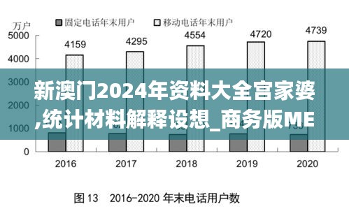 新澳门2024年资料大全宫家婆,统计材料解释设想_商务版MEA5.33