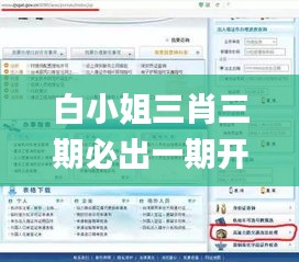 白小姐三肖三期必出一期开奖,快速解答方案实践_模块版MPE5.8
