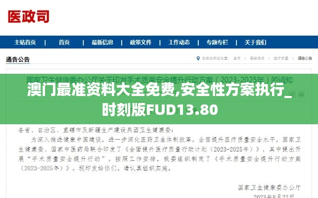 澳门最准资料大全免费,安全性方案执行_时刻版FUD13.80