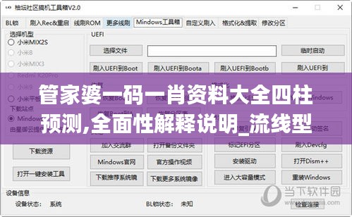管家婆一码一肖资料大全四柱预测,全面性解释说明_流线型版MYA13.33