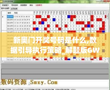 新奥门开奖号码是什么,数据引导执行策略_解题版GWJ13.28