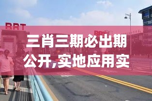 三肖三期必出期公开,实地应用实践解读_同步版BRT13.48
