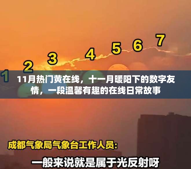 建议，暖阳下的数字友情，十一月温馨在线日常故事