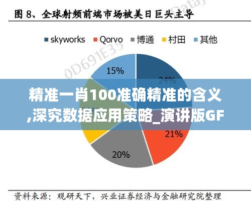 精准一肖100准确精准的含义,深究数据应用策略_演讲版GFY13.9